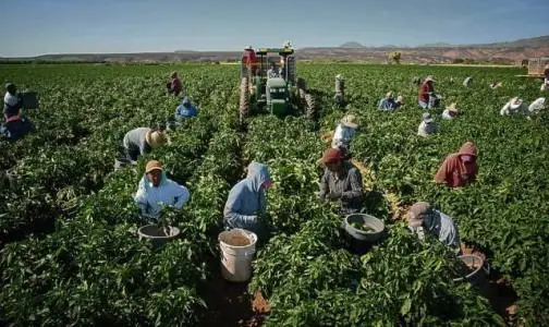 agricultura mere aus lucratori