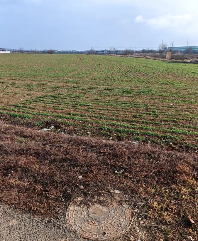Dragomiresti Vale langa Centura teren 31 200 mp 28 euro/mp