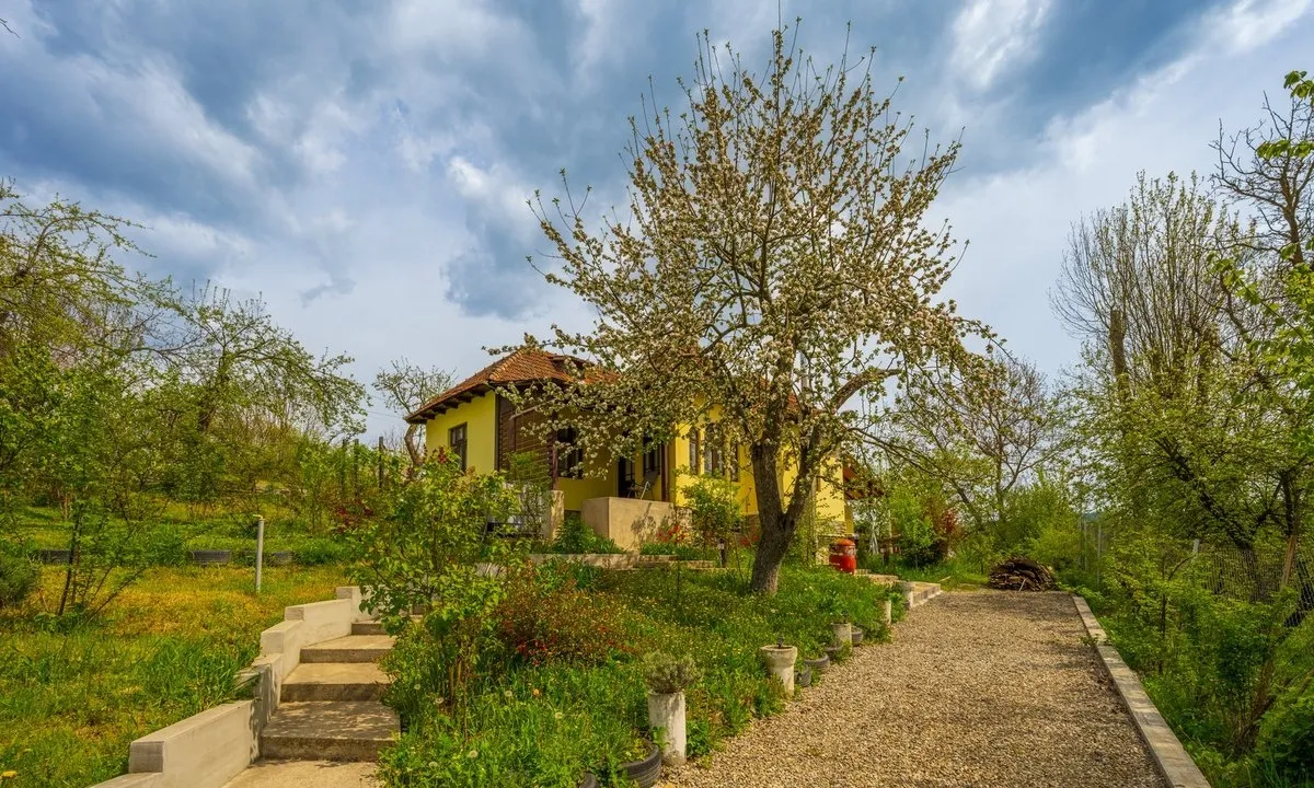 Provita de Sus Prahova Casa renovata