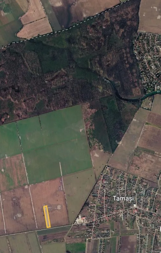 Buftea Tamasi