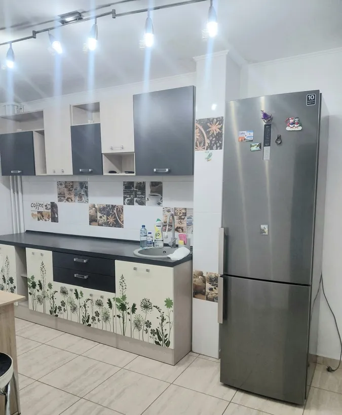 Pantelimon Delfinului Lidl Mega Image stradal