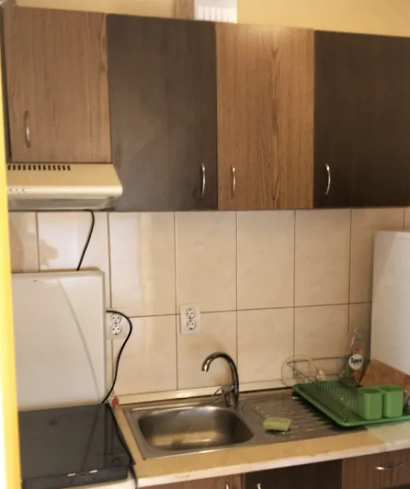 Apartament cu 1 camera confortabil si primitor