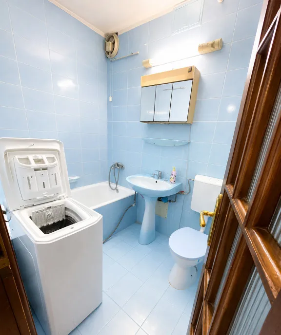 Apartament cu o camera Bucovina