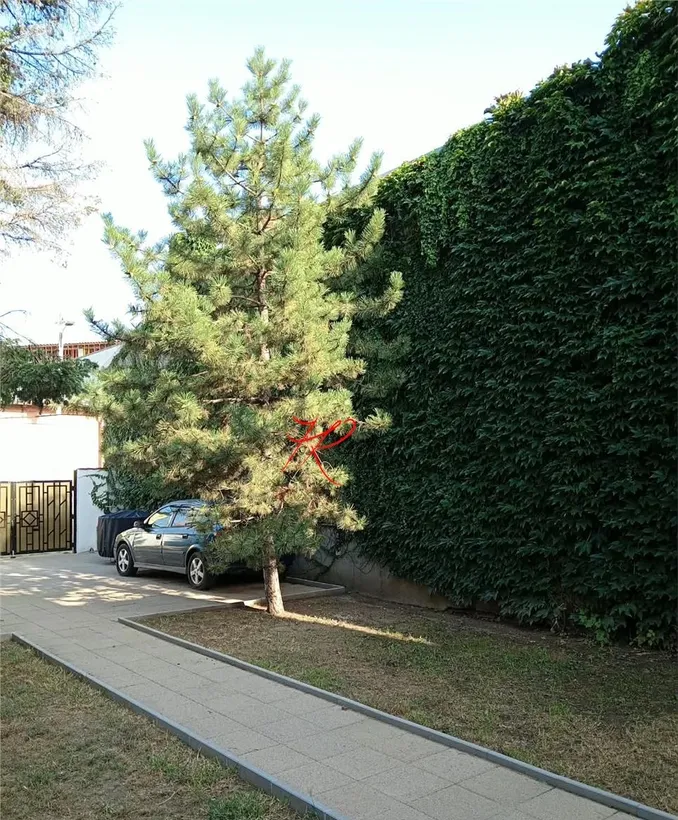 Tineretului vanzare vila