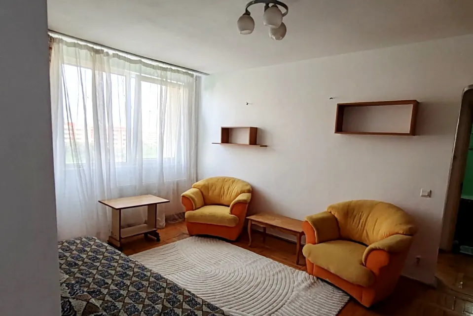 Titan Baba Novac Pet Friendly 2 Camere Park Lake ior