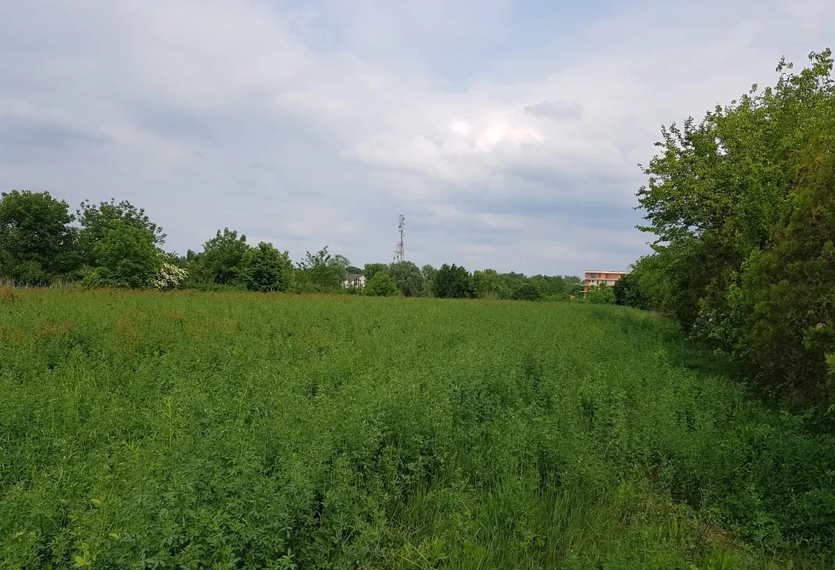 Snagov lac