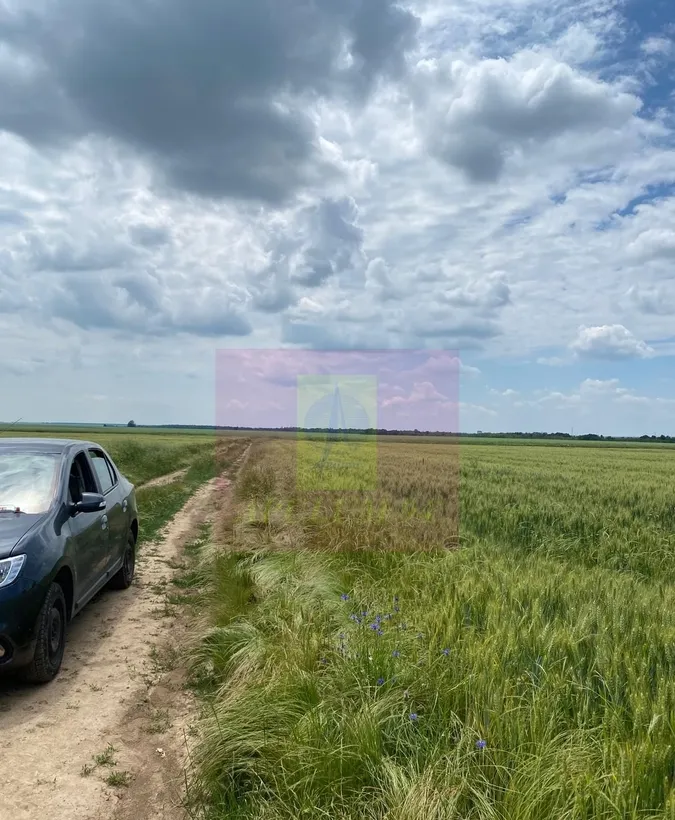Teren 6 26 ha langa DEx12 Pitesti