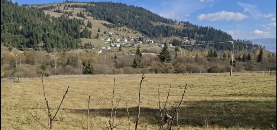 Vatra Dornei Suceava