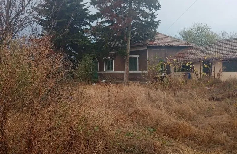 Radovanu Calarasi
