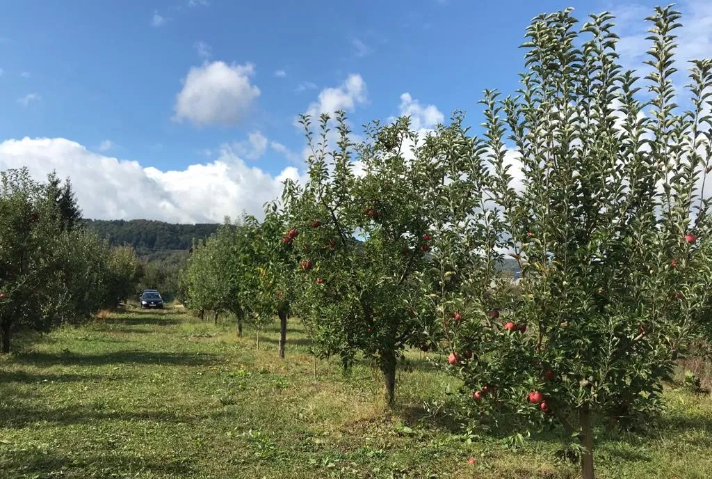 Voinesti Dambovita 1 200 mp teren cu 80 de meri casa 100 mp