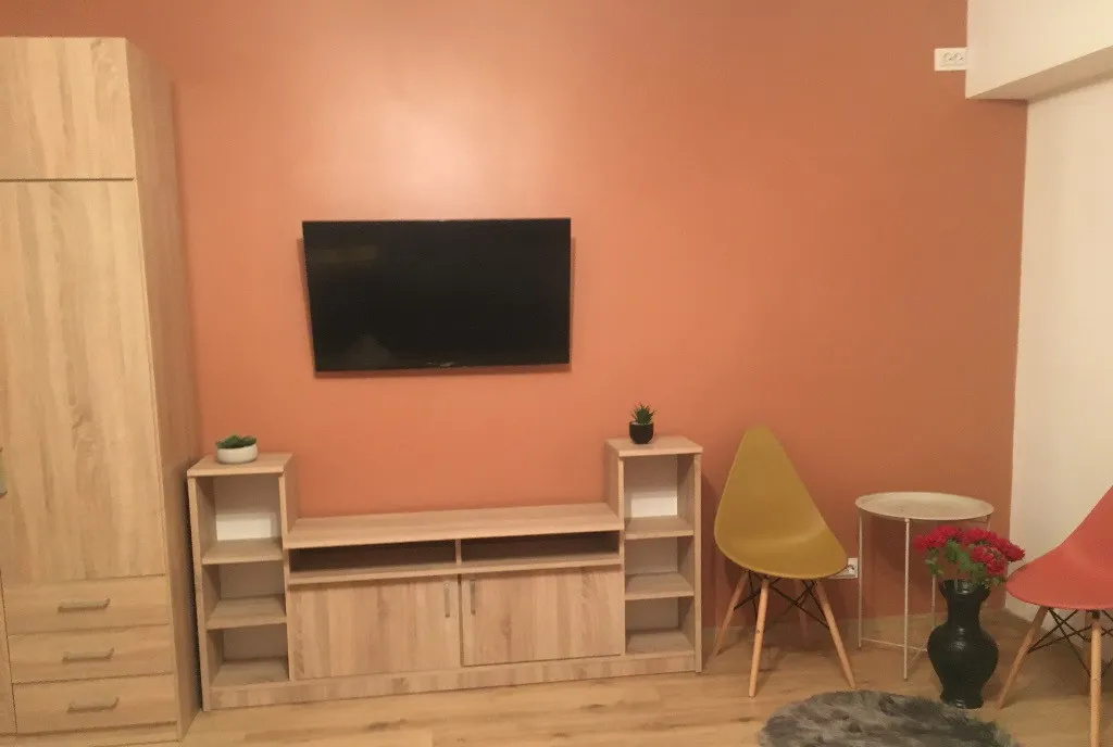 Apartament 1 camera Nicolina 2 40 mp etaj 1