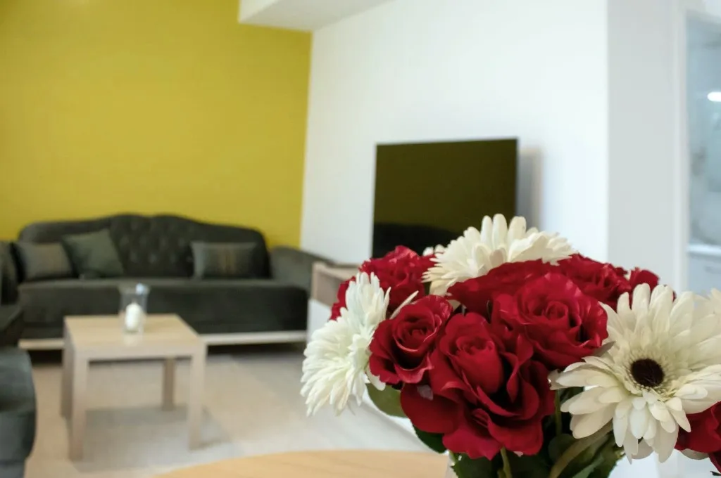 Inchiriere Casa Tip Insiruita - Complex Riviera Dobroesti