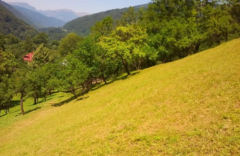 Investitie deschidere intrare DN1 Posada Sinaia 4 km intravilan 4 350 mp