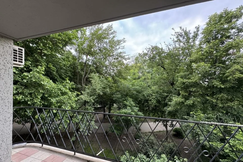 Cismigiu Apartament fermecator cu vedere in parcul Cismigiu