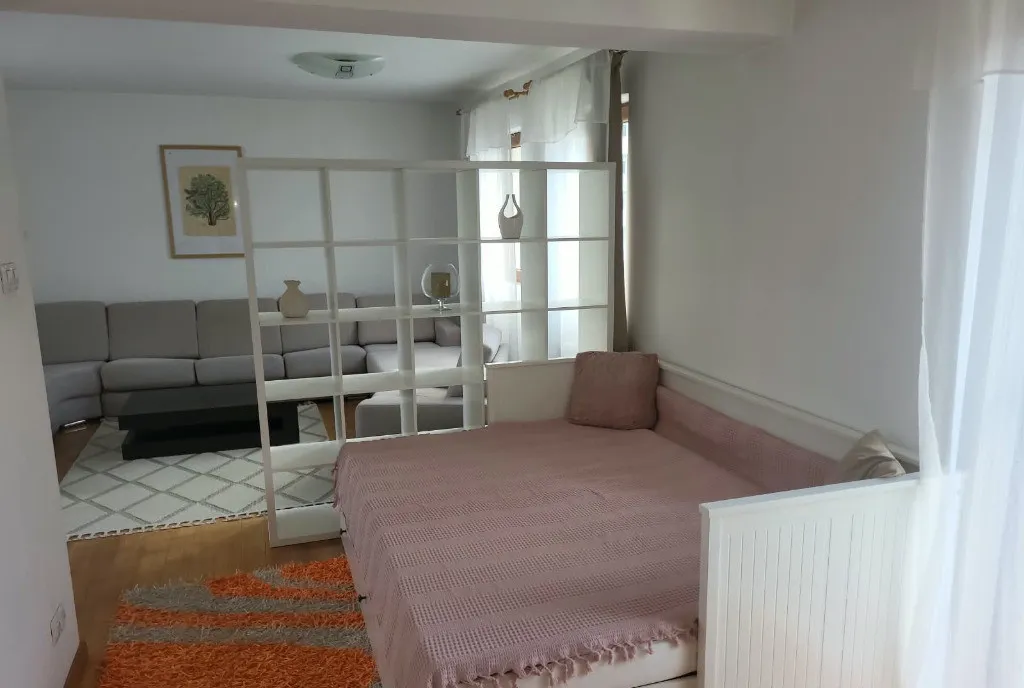 Apartament cu 1 camera Porii Floresti