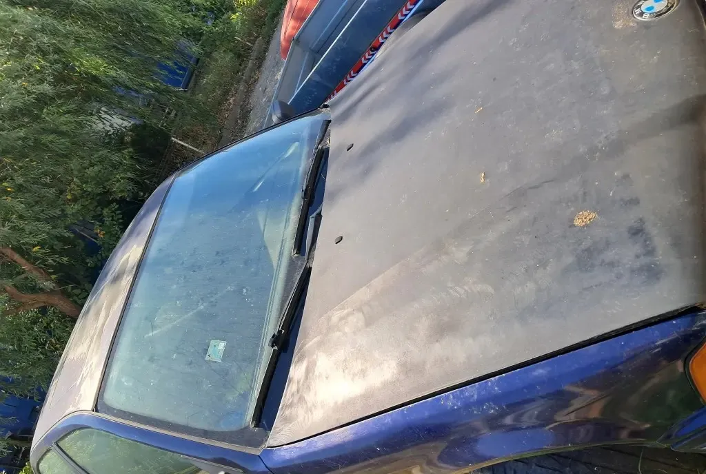 Bmw e36/ Pisicuta 4 200 lei