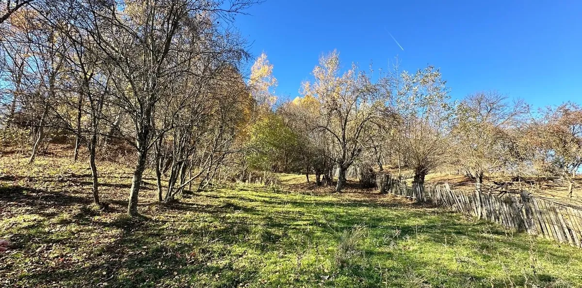 Teren 4044 mp deschidere 60m la 18 km de Campina asfalt si curent