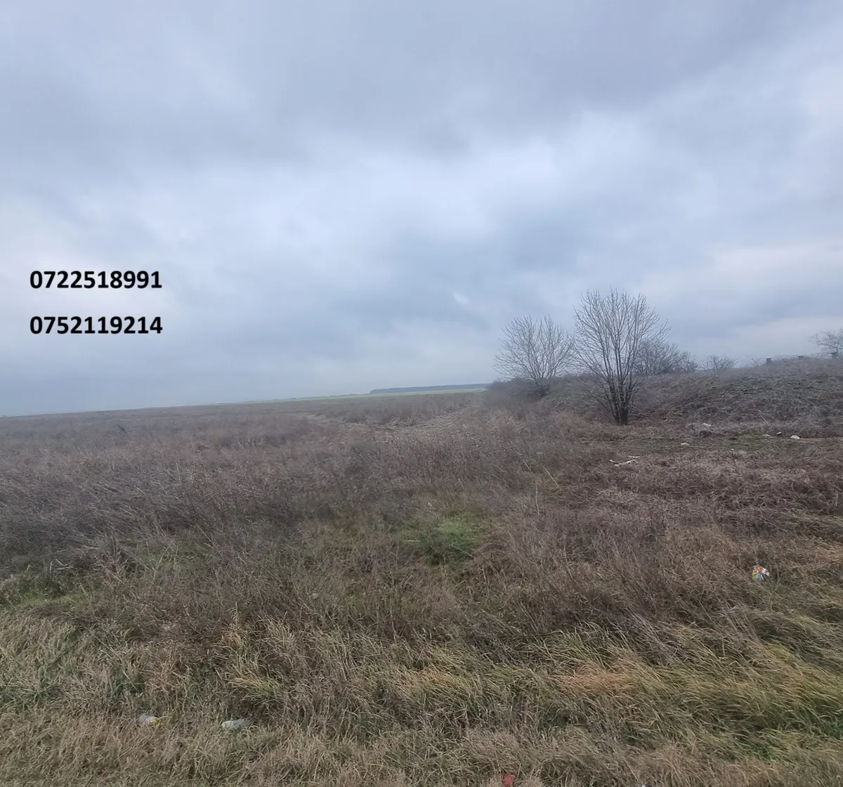 Afumati DN2 Sindrilita teren 90000 mp
