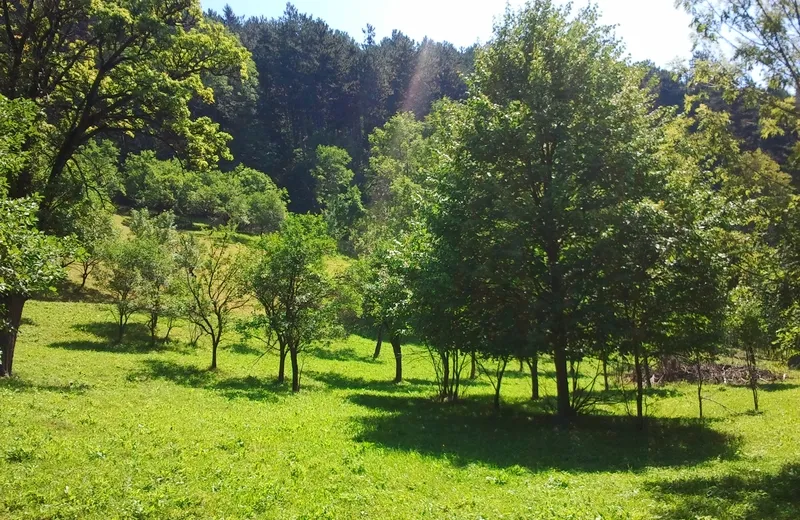 Teren Posada la 4 km Sinaia intravilan 4 350 mp deschidere si intrare DN1