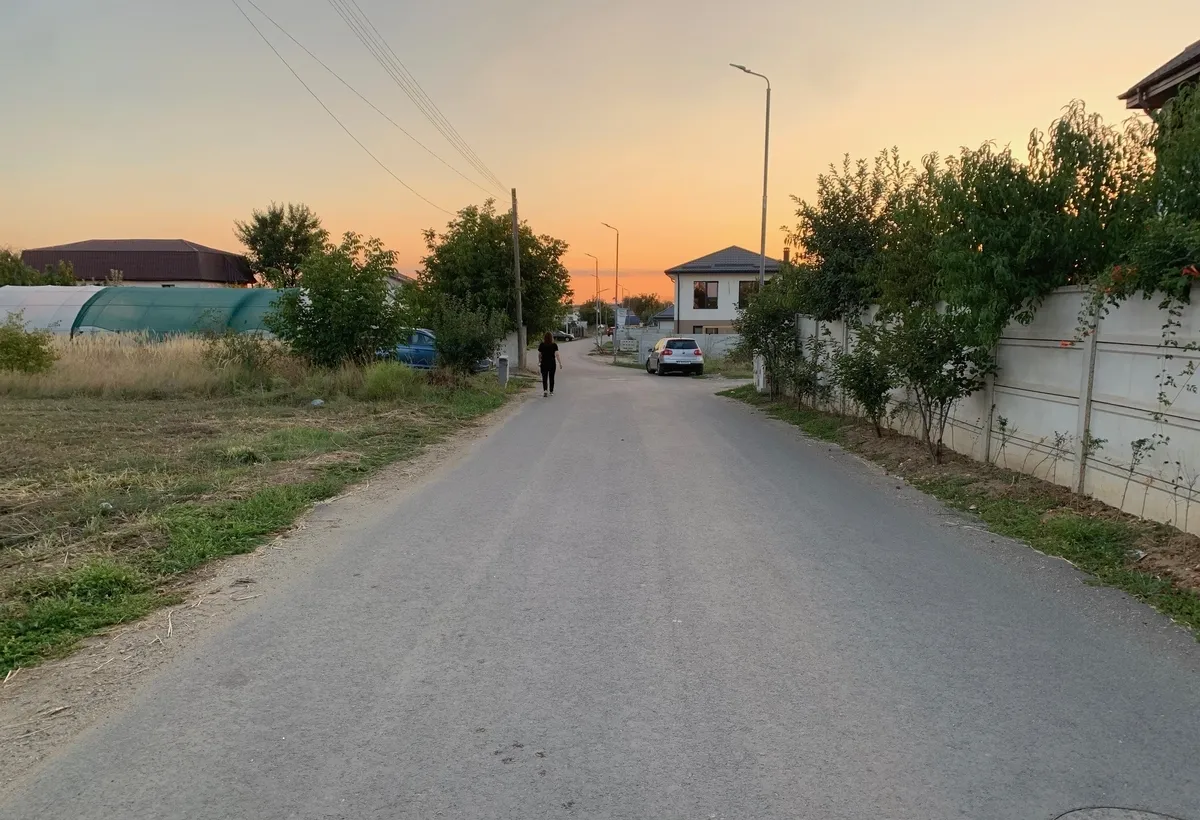 Domnesti strada Teiului