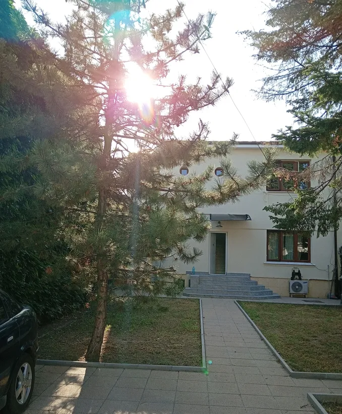 Tineretului bd Serban Voda