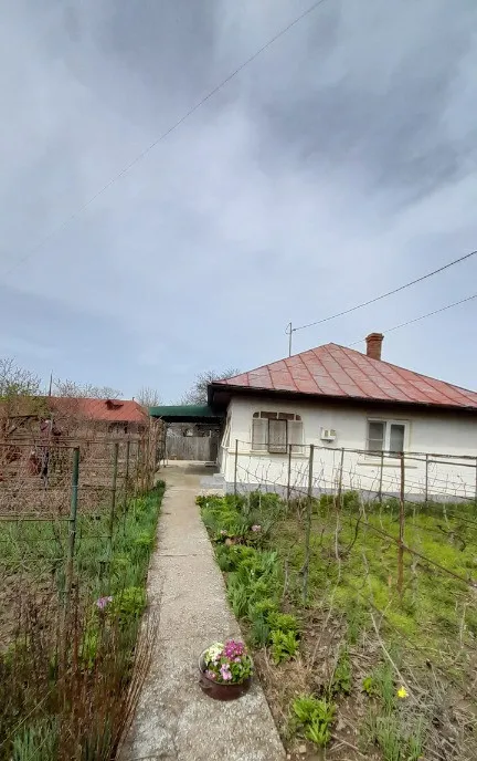 Casa teren 730 mp Snagov Ilfov