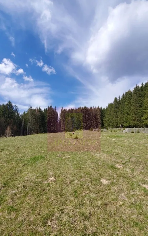 Teren intravilan 2500 mp in Valea Doftanei