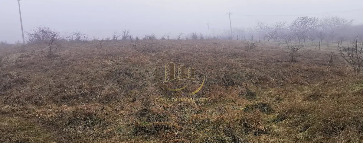 Baciu teren 2 900 mp intravilan extravilan utilitati
