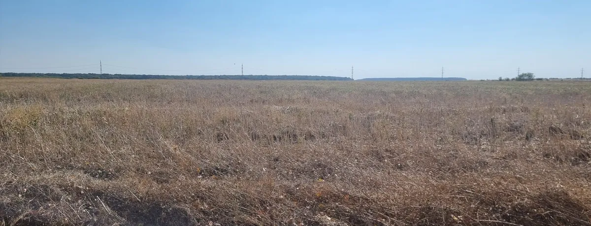 de investitie Teren intravilan de vanzare 10 000 mp
