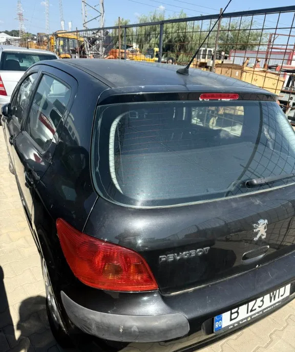 Peugeot 307 1 6 Benzina ndash 2004 700 eur