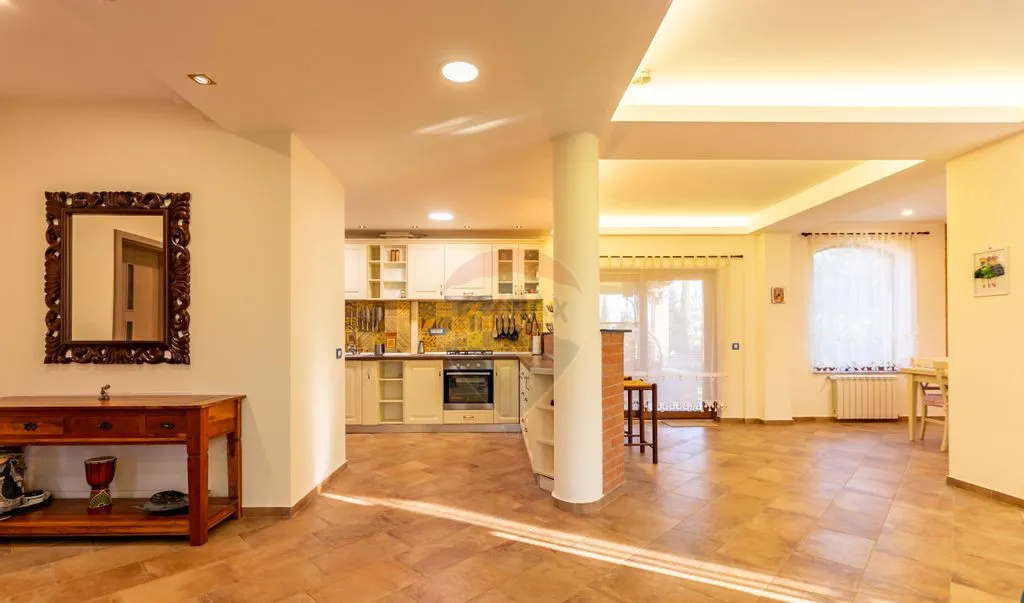 Vila P E M cu 4 camere 294 mp Berceni/Ilfov