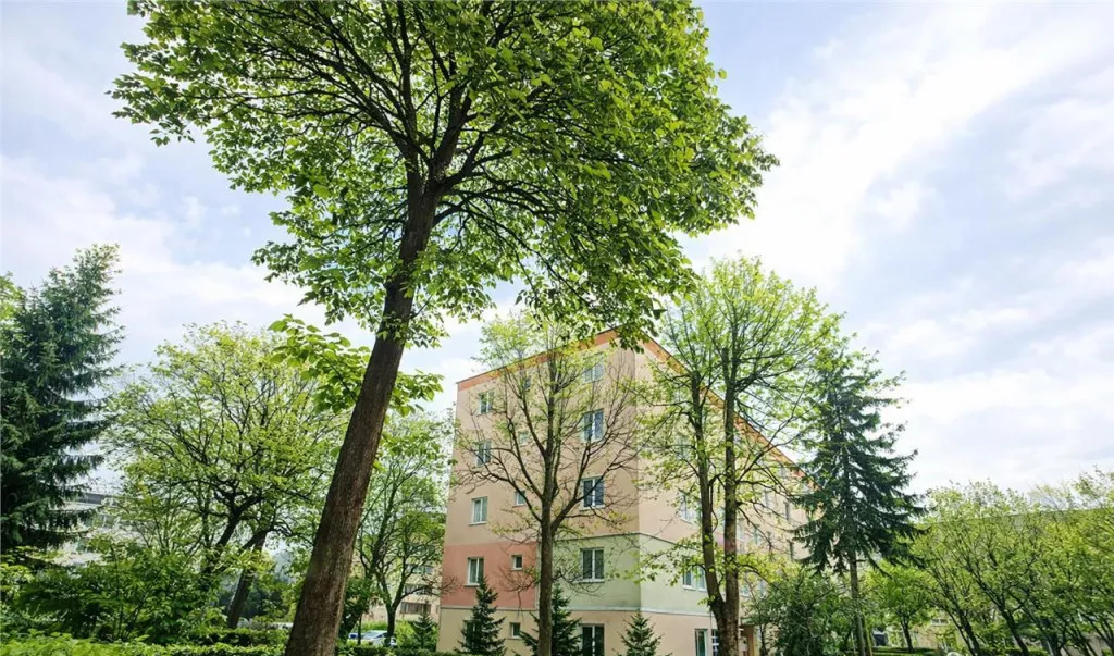 Apartament 2 camere cartierul Florilor renovabil spatiu v