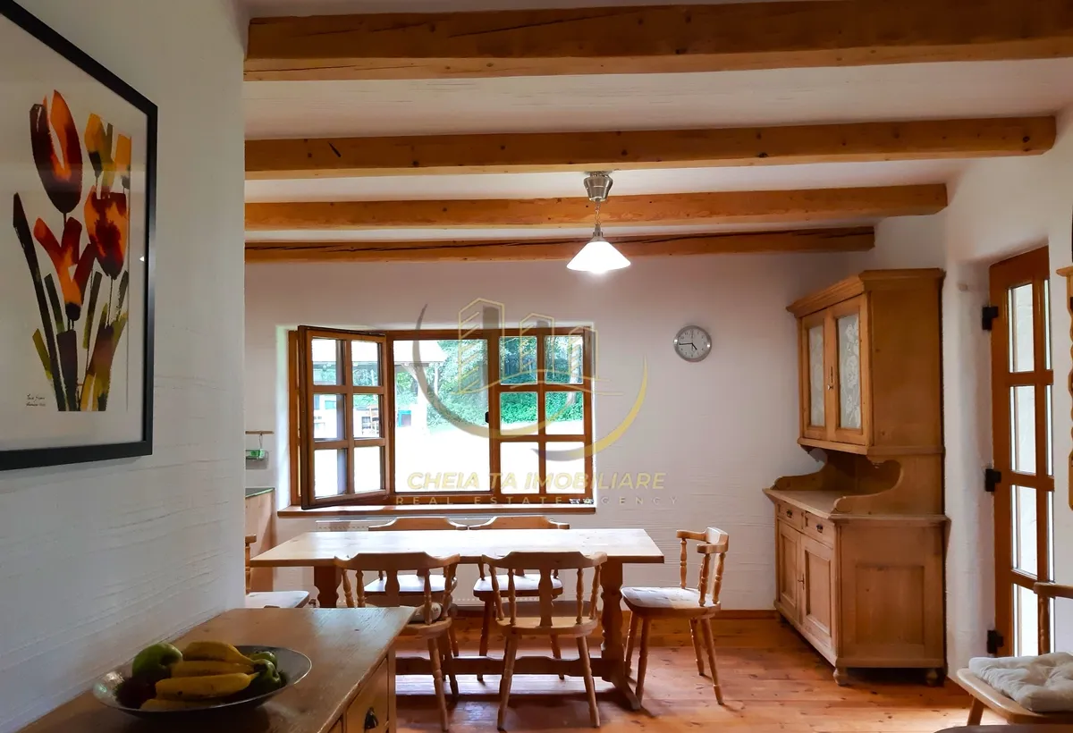 Cluj Casa 180 mp Curte 3 000 mp Garaj Salicea