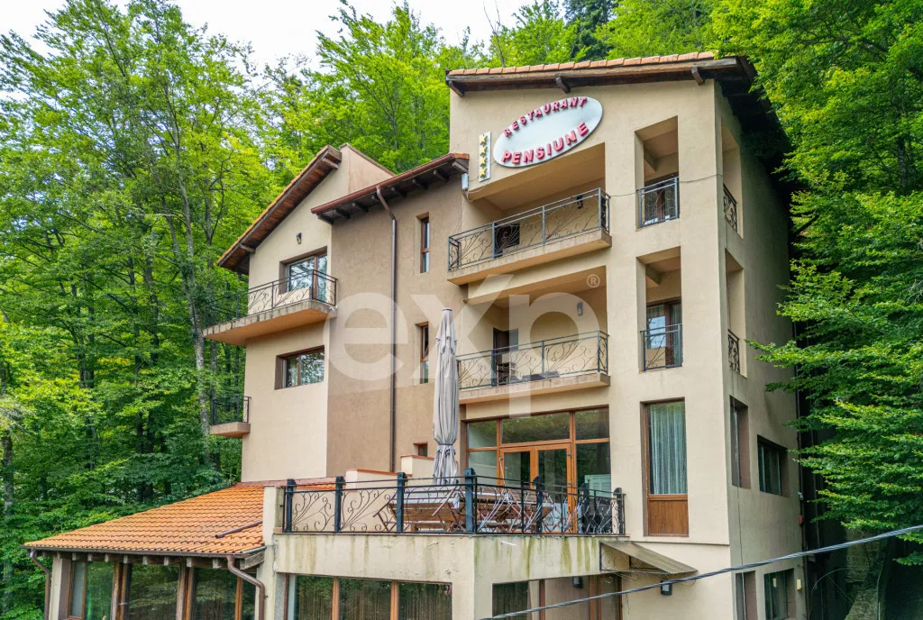 Casa de vacanta in Azuga cu vedere la munte Langa padure