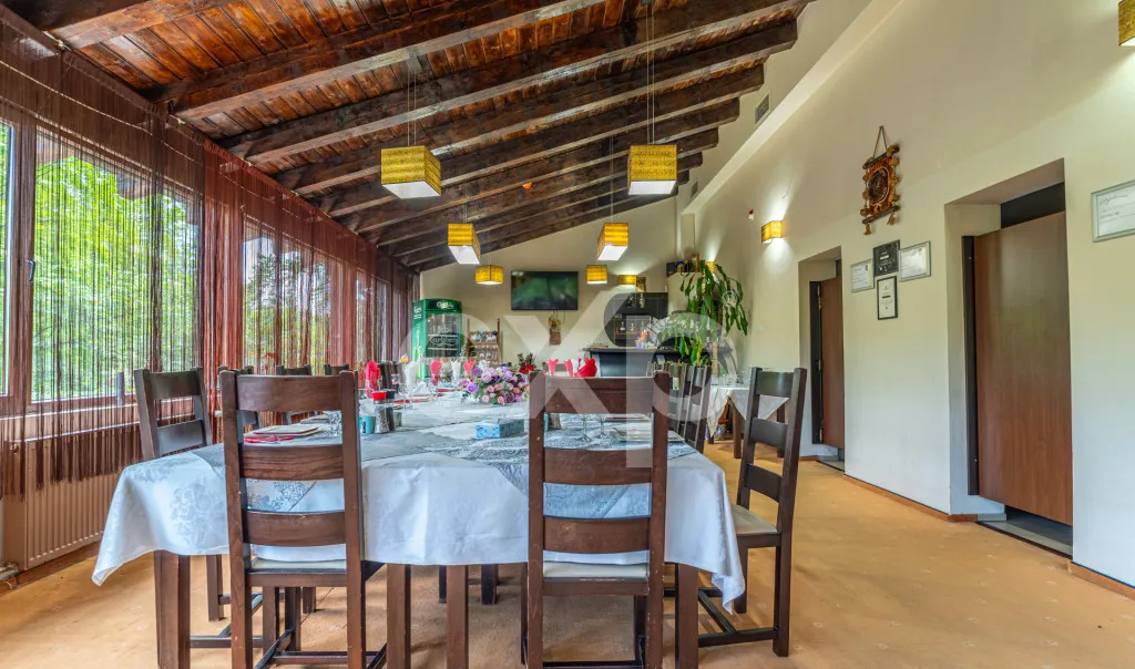 Casa de vacanta in Azuga cu vedere la munte Langa padure