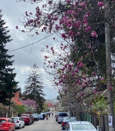 Decebal Alba Iulia apartament in vila