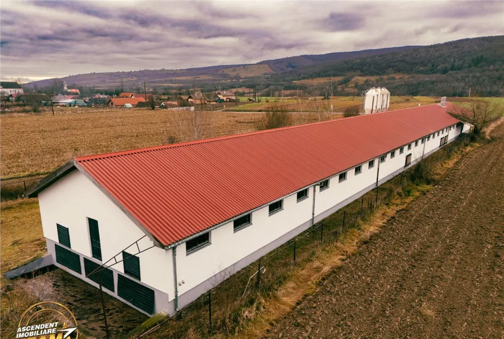 Film Ferma de iepuri Malnas Covasna domeniu comercial indu