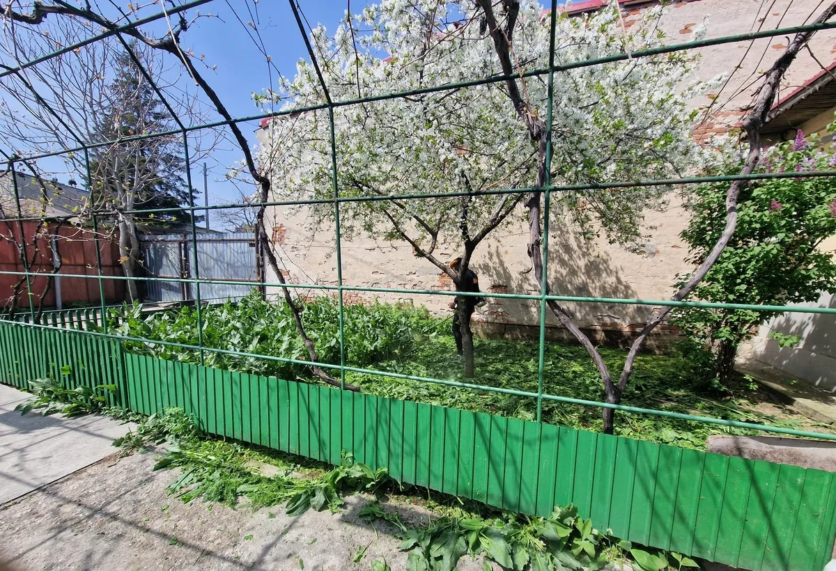 Piata Rahova str Amurgului nr 63 sector 5