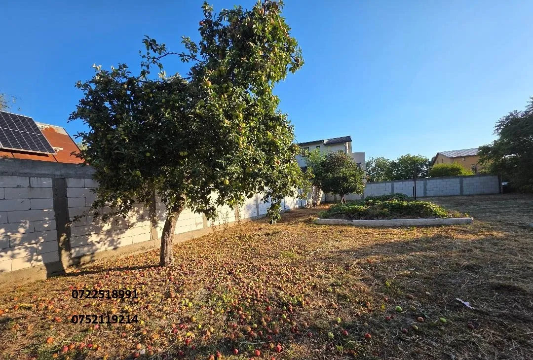 Prelungirea Ghencea Drumul Taberei 350 euro/mp intravilan 600 mp