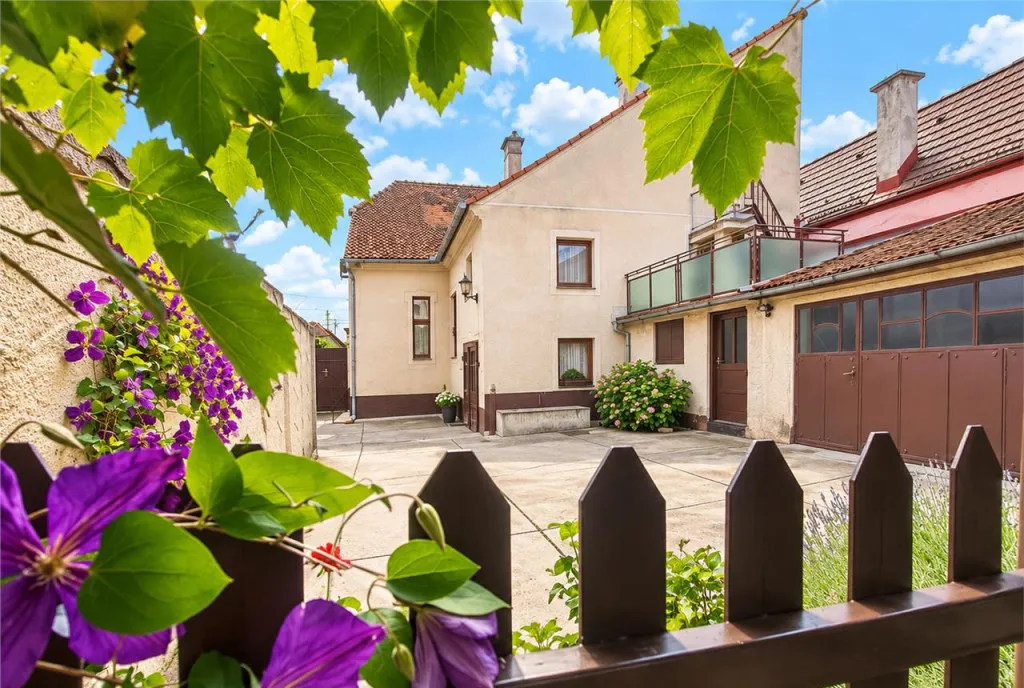 Poveste saseasca la umbra vitei de vie cu crama gradina flor