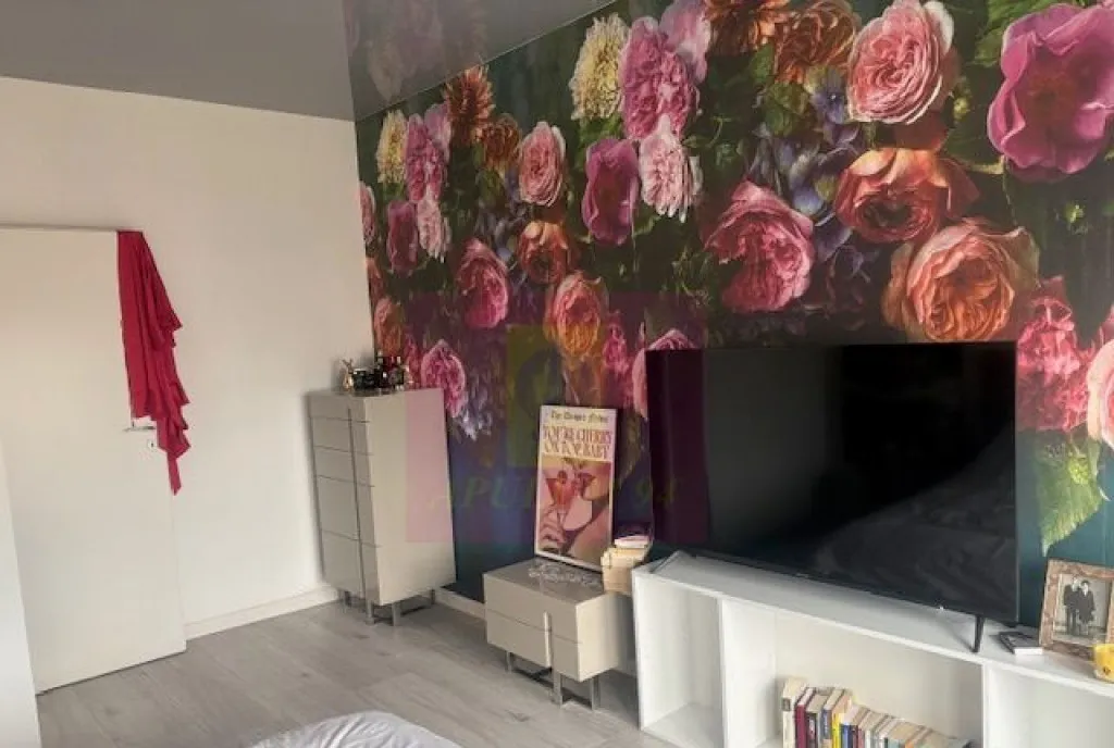 Vila tip duplex Otopeni 23 August