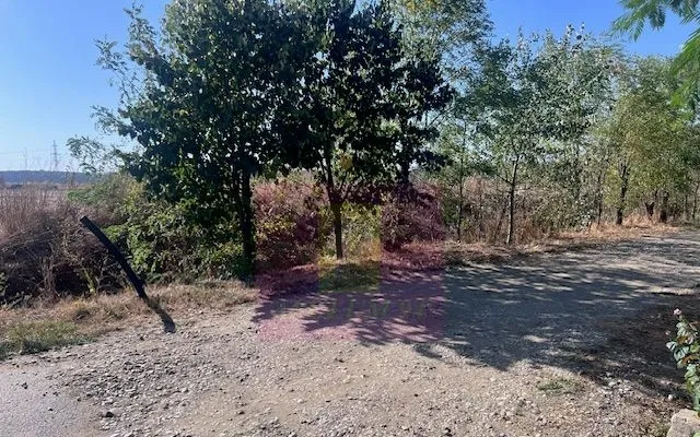 Teren Cornetu Strada Magnoliei Pinului