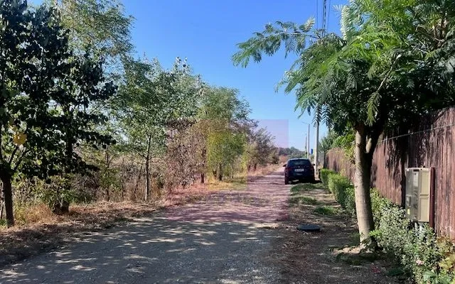 Teren Cornetu Strada Magnoliei Pinului