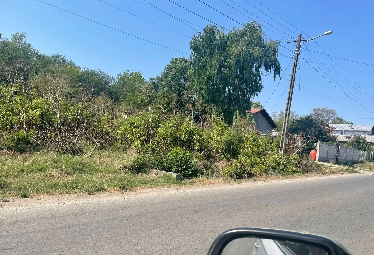 Iepuresti Giurgiu teren de casa