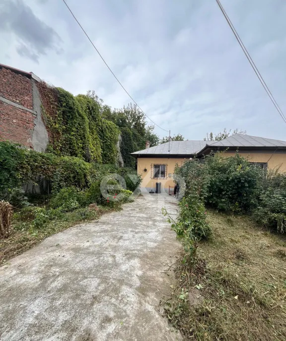Casa pe parter 3 camere ingrijita curte si gradina Gaesti No