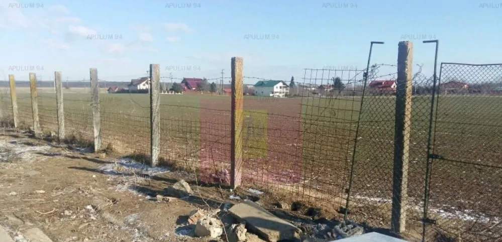 Teren Balotesti Saftica ideal pentru constructie locuinte