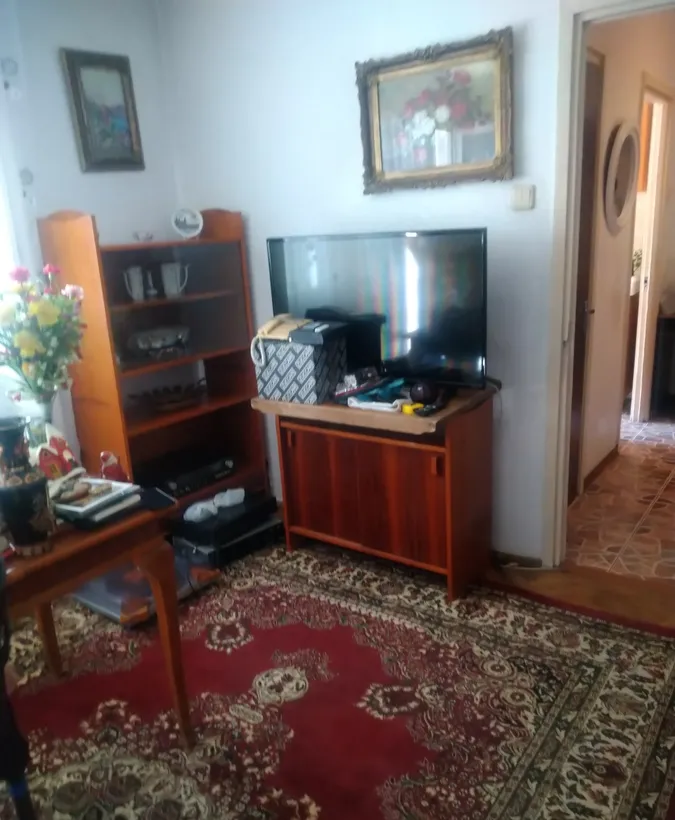 Berceni Emil Racovita Ornamentului