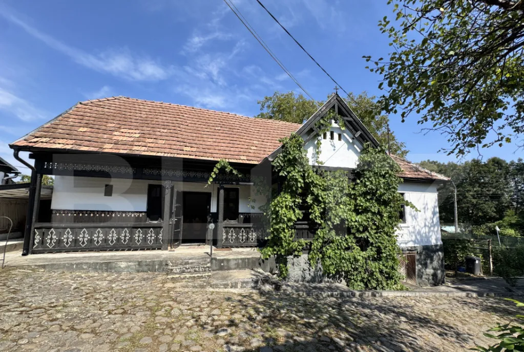 Proprietate superba in Damieni cu potential enorm comercia