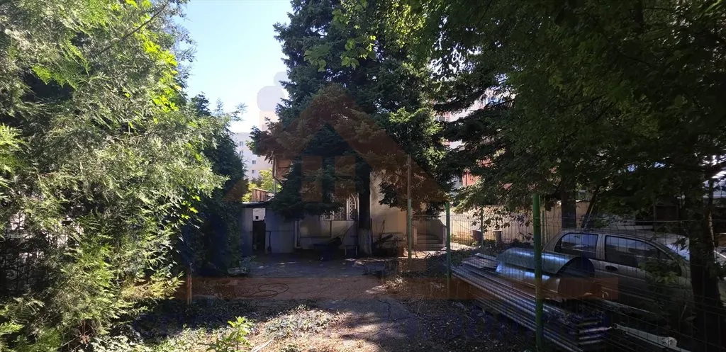 Muncii Mieilor
