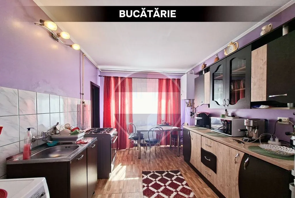 Doua case de vanzare strada Tebea Baia Mare